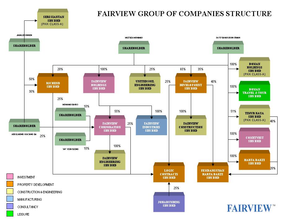 Group shareholding structure